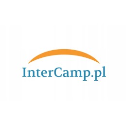 Comet submersible water pump 24v 10l