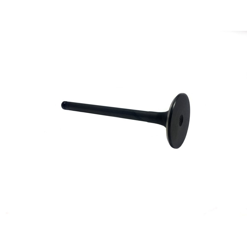 Nissan TD27 forklift exhaust valve