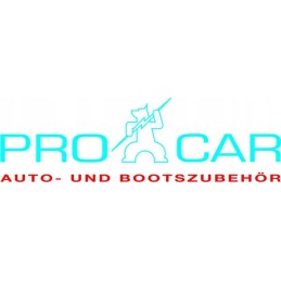 Gas alarm detector car gas sensor procar 12v