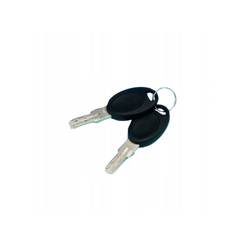 Keys for hsc 483 cylinder, 2 pcs