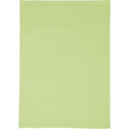 Brunner Delicia kitchen mat, green