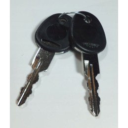 Fawo camper's water filler cap with keys