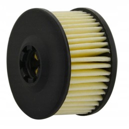 Insert for the gas system