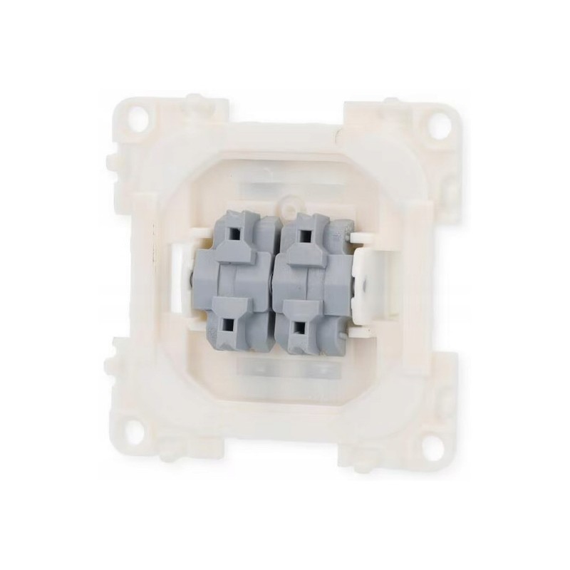 Switch light switch serial double system 10000 20000