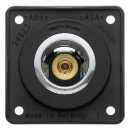 Internal electrical socket Berker Integro 12v