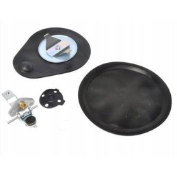 Aisan Nikki K21 gas reducer valve kit