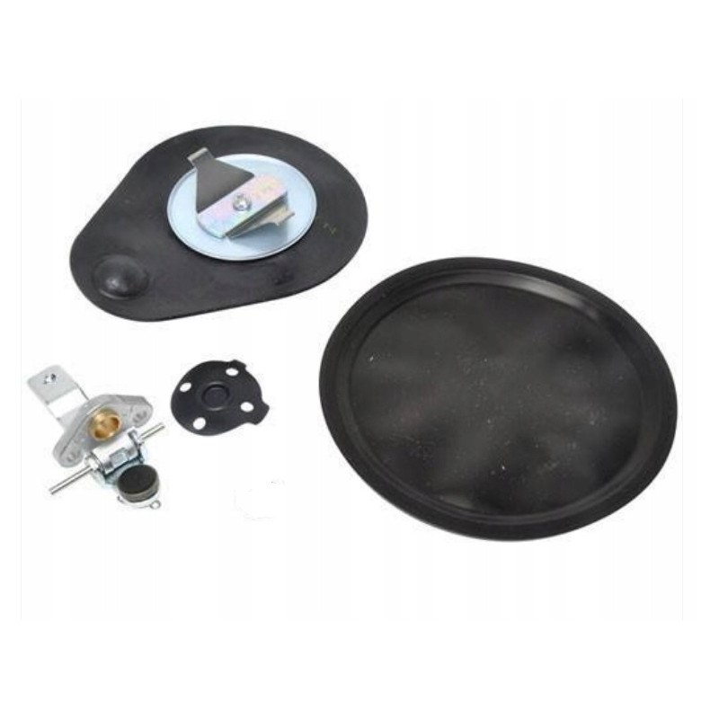 Aisan Nikki K21 gas reducer valve kit