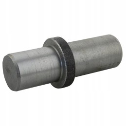 Torsion beam suspension pins