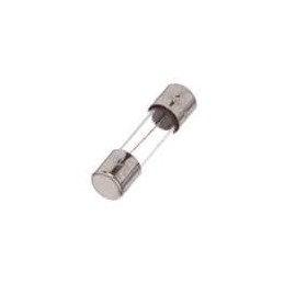 1 pcs : GMC-125-R - Cartridge Fuses 125mA 250VAC TD GMC Series