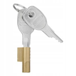 Lock, lock, hitch security, key, insert
