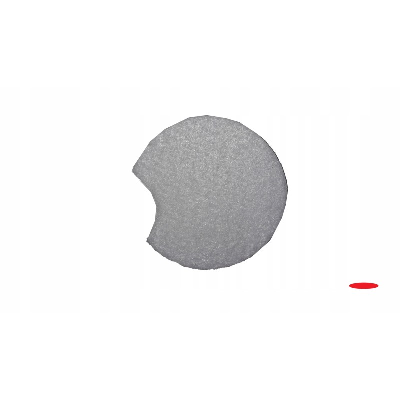 LPG gas filter for Aisan forklift