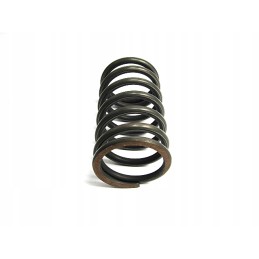 Drawbar spring 50427462 jungeinrich