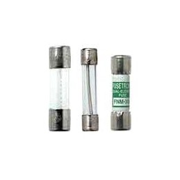 1 pcs : F02B250V1/4AS - Cartridge Fuses 250V .25A Silver Plated