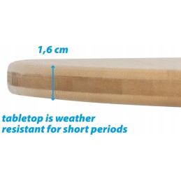 Brunner camperking foldable camping table oe 90cm