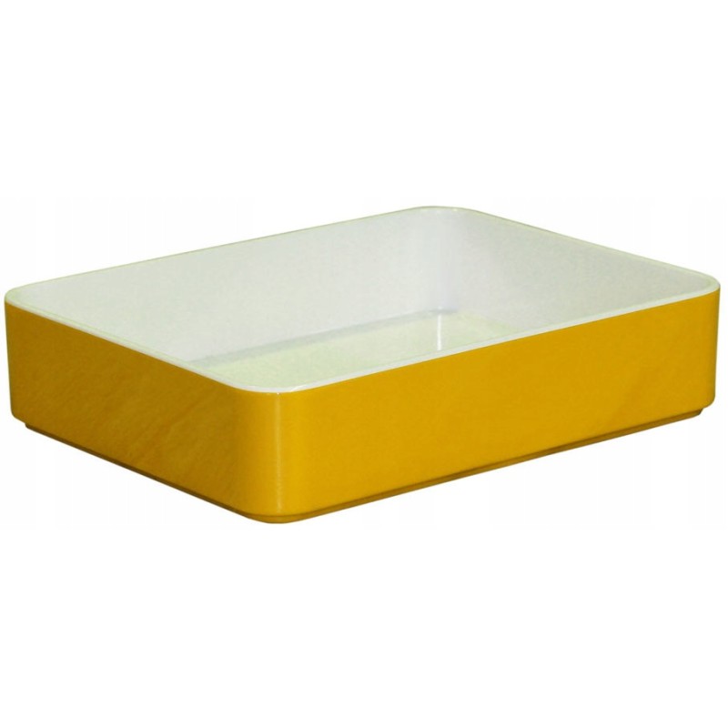 Gimex rainbow salad bowl tray 17 5x14x4 cm
