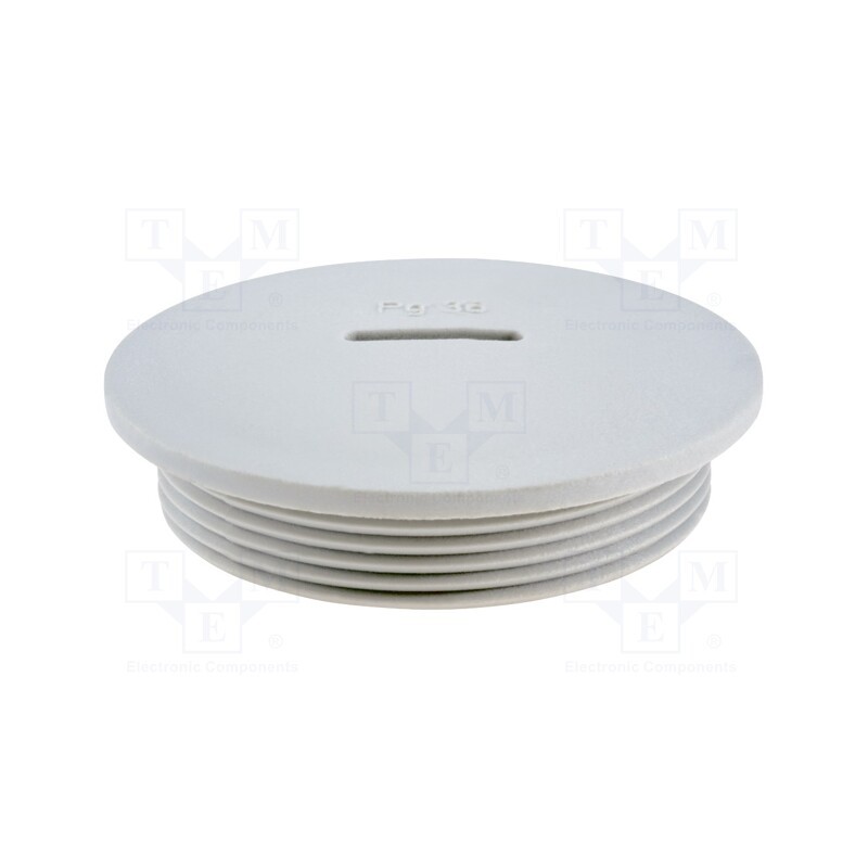 1 pcs x HUMMEL - 1.251.3600.11 - Stopper, PG36, IP54, polyamide, grey, V-N-FS, Thread: PG, 10mm