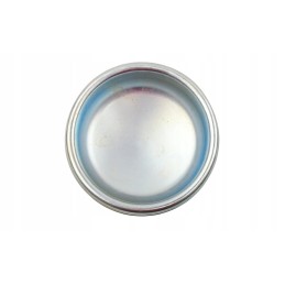 Iveco daily 06 hub cap