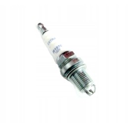 Spark plug 171987 still