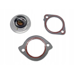 Thermostat forklift mazfa fe