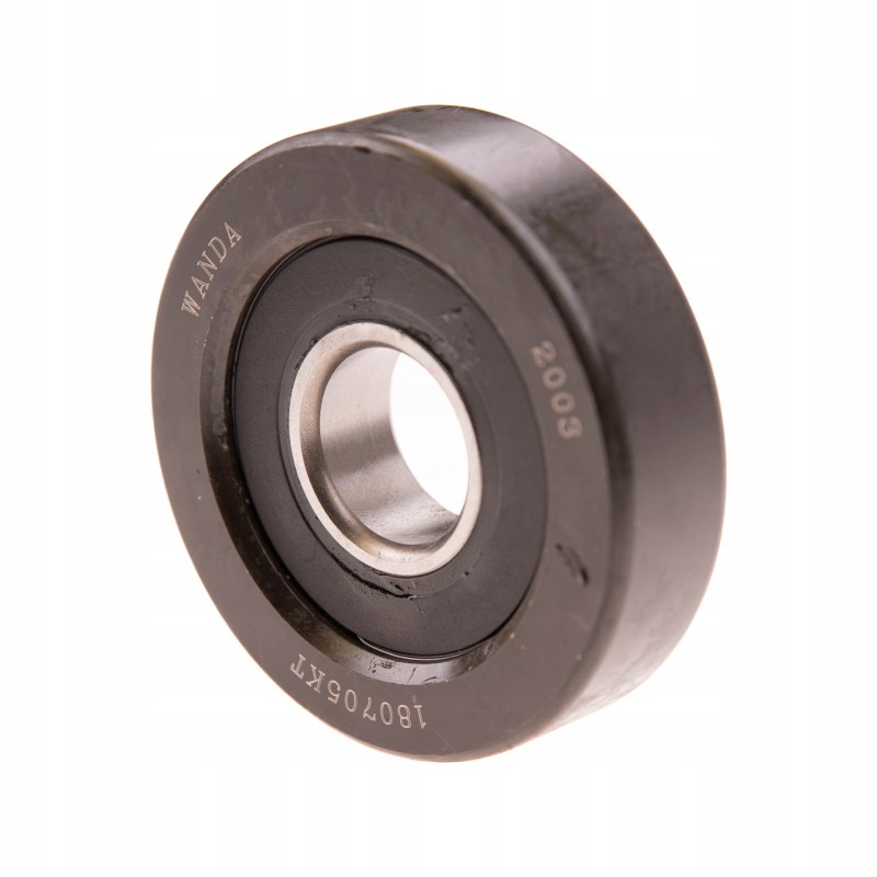 Side roller of the carriage mast hc hangcha 25x80x22