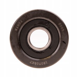 Side roller of the carriage mast hc hangcha 25x80x22