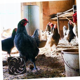 Exhaust fan with solar panel for poultry kennels