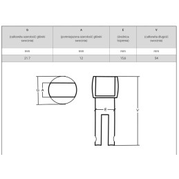 Fork protection, fork lock and trolley lock