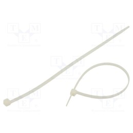 1 pcg x RADPOL - TOOCW025004801 - Cable tie, L: 250mm, W: 4.8mm, polyamide, 220N, natural, 100pcs.