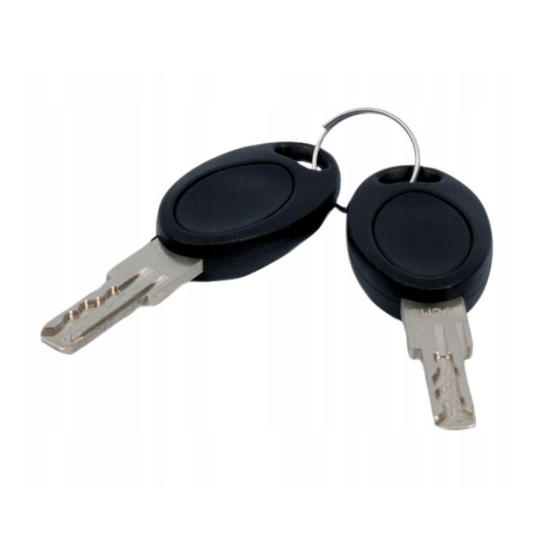 HSC FW 485 keys 2 pcs