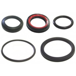 Set of gaskets for the power steering actuator dv 1792