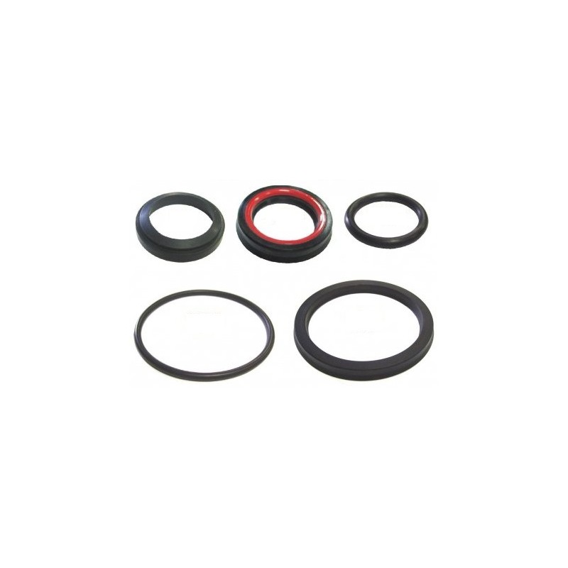 Set of gaskets for the power steering actuator dv 1792