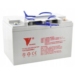 Battery for electric mast trolley ws15 12v 75ah