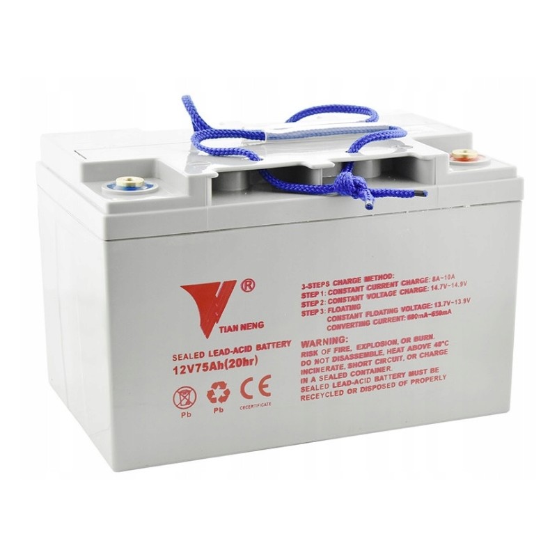 Battery for electric mast trolley ws15 12v 75ah