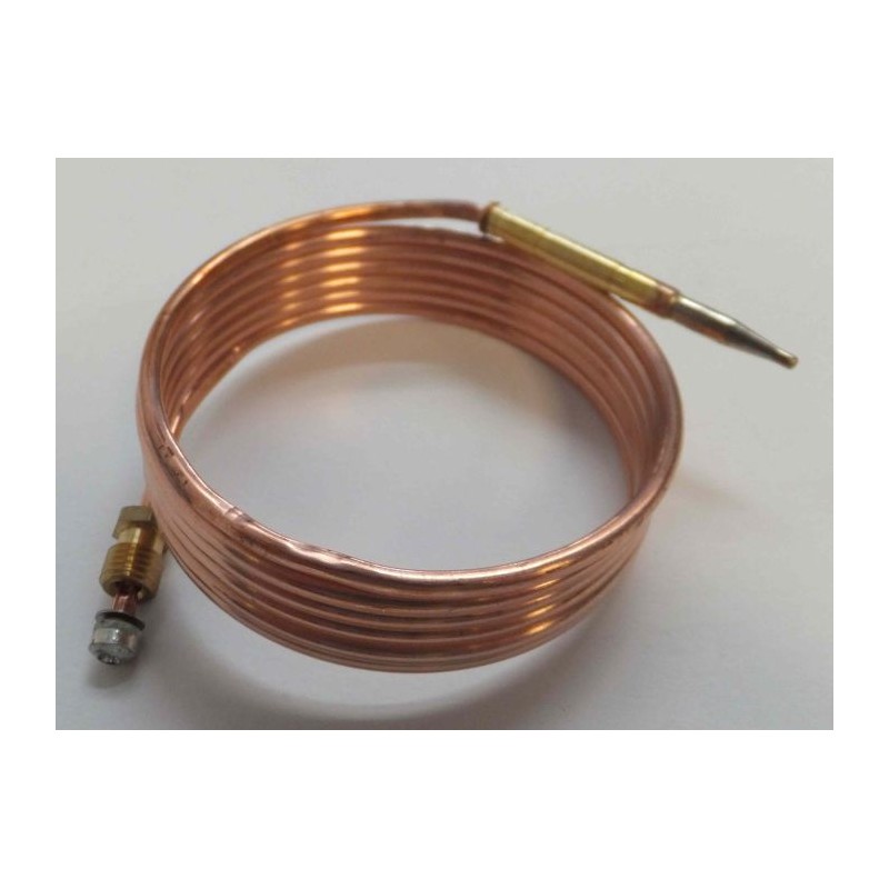 Thermocouple for fridge sr thetford in wa