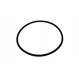 Oring 100x3 5mm e0004012