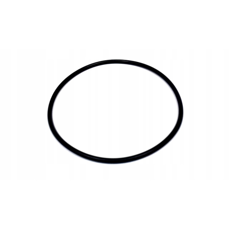 Oring 100x3 5mm e0004012