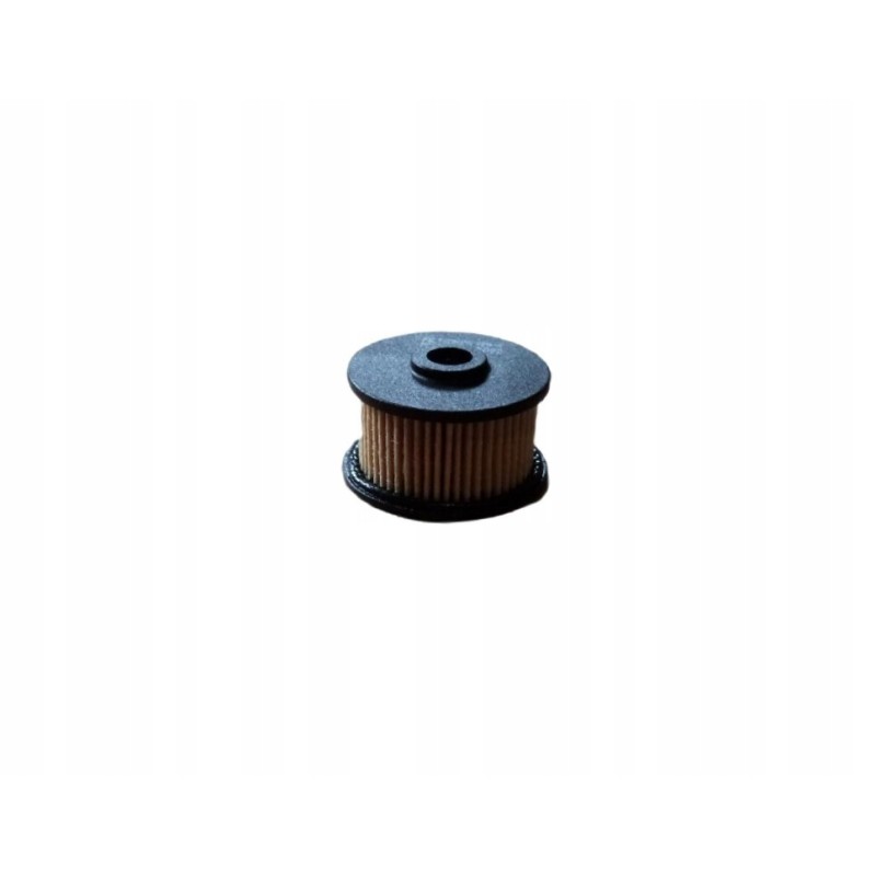 Filter insert for gas installations for solenoid valves compliant with PM999 4