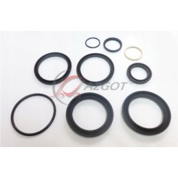 Set of gaskets for the mast tilt cylinder dv 1792