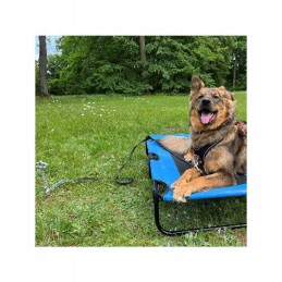 Dog tether screw camping 31cm peggypeg