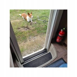 Dog tether screw camping 31cm peggypeg