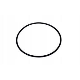 Oring 100x3mm e0004014