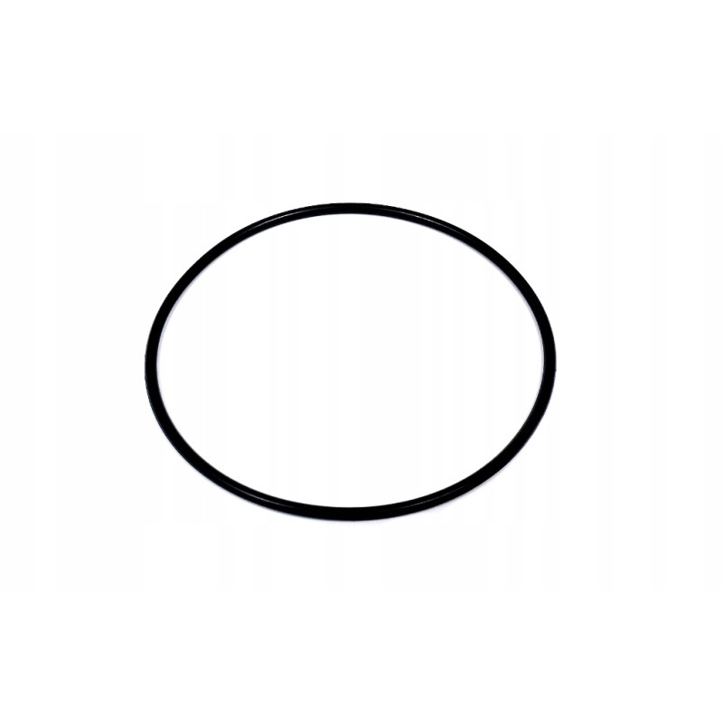 Oring 100x3mm e0004014