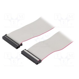 2 pcs x CONNFLY - DS1052-402B2MA206001 - Ribbon cable with IDC connectors, Cable ph: 1.27mm, 0.6m