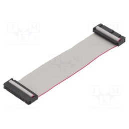 2 pcs x CONNFLY - DS1052-262B2NA203001 - Ribbon cable with IDC connectors, Cable ph: 1.27mm, 0.3m