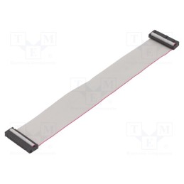 2 pcs x CONNFLY - DS1052-342B2MA206001 - Ribbon cable with IDC connectors, Cable ph: 1.27mm, 0.6m