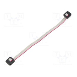 2 pcs x CONNFLY - DS1052-01-062B2MA201501 - Ribbon cable with IDC connectors, Cable ph: 1mm, 0.15m, 6x28AWG