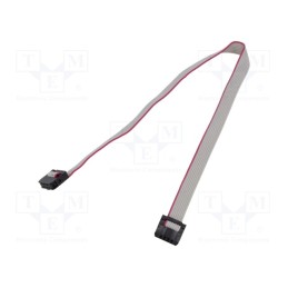 2 pcs x CONNFLY - DS1052-01-082B2NA201501 - Ribbon cable with IDC connectors, Cable ph: 1mm, 0.15m, 8x28AWG