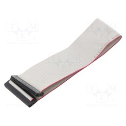 2 pcs x CONNFLY - DS1052-01-402B2MA203001 - Ribbon cable with IDC connectors, Cable ph: 1mm, 0.3m, 40x28AWG