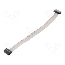 2 pcs x CONNFLY - DS1052-01-102B2NA201501 - Ribbon cable with IDC connectors, Cable ph: 1mm, 0.15m, 10x28AWG