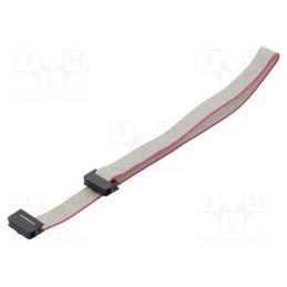 2 pcs x CONNFLY - DS1052-01-102B2NA203001 - Ribbon cable with IDC connectors, Cable ph: 1mm, 0.3m, 10x28AWG